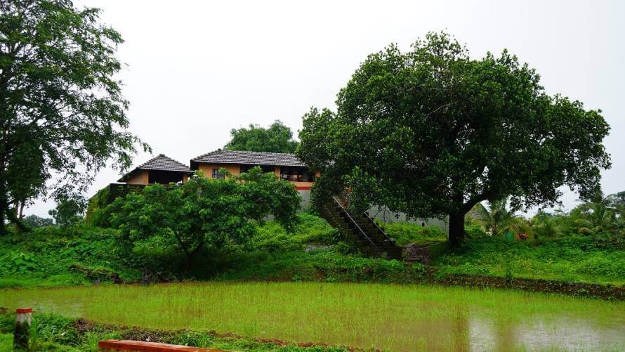 Palli-Garadi-1